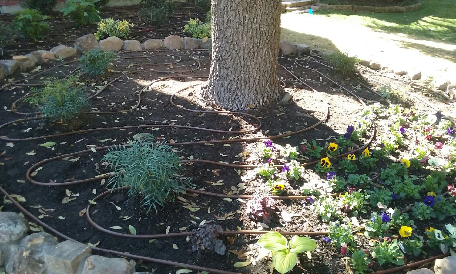Irrigation work in progress on a North Texas property